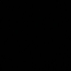 Meet your Posher, Irma